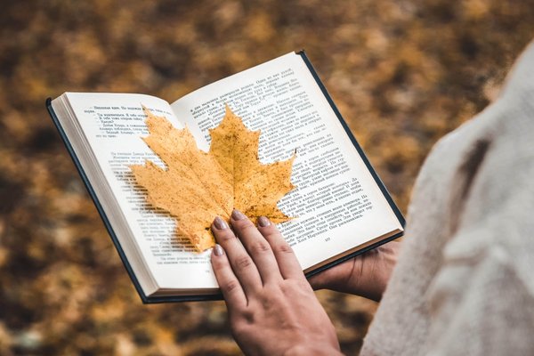 Quels sont les mouvements poétiques marquants du romantisme au surréalisme ?