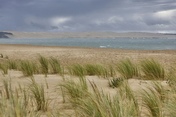 Comment profiter au maximum de votre visite au Cap Ferret?