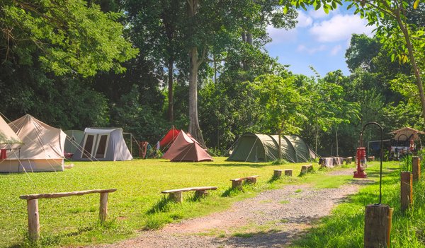 Les campings de cette région proposent-ils des emplacements ombragés ?